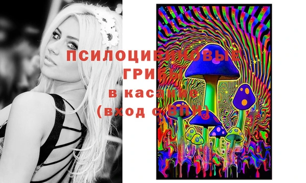 PSILOCYBIN Баксан