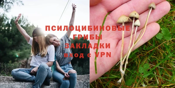 PSILOCYBIN Баксан