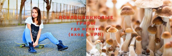 гашик Балахна