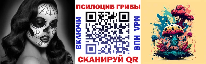 даркнет сайт  Белокуриха  Псилоцибиновые грибы Psilocybe 