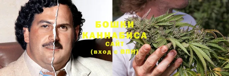 Конопля Bruce Banner  Белокуриха 