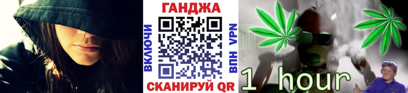 Каннабис гибрид  Белокуриха 